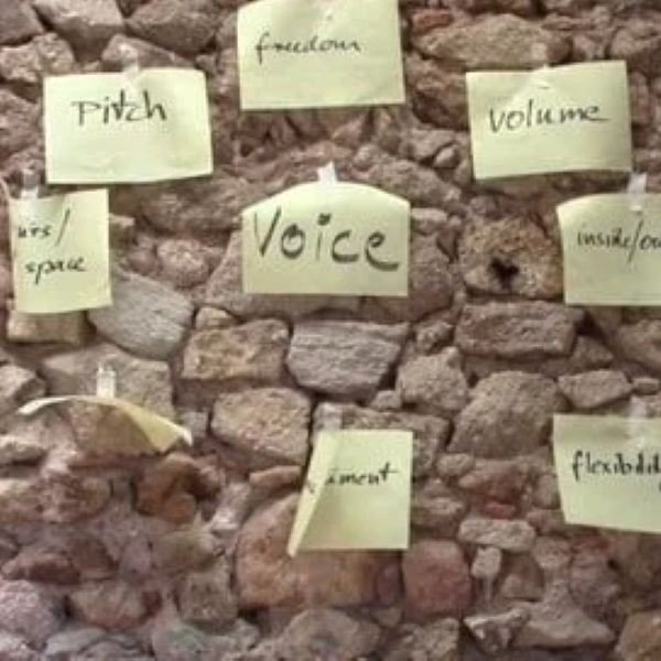 Voice in Performance Art